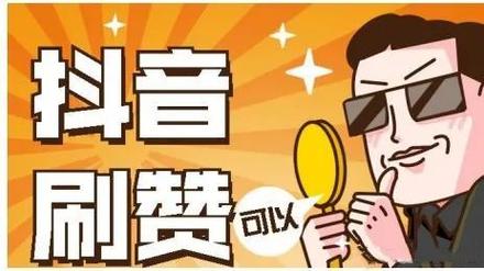 抖音人气翻倍秘诀，专业刷赞网站大解读