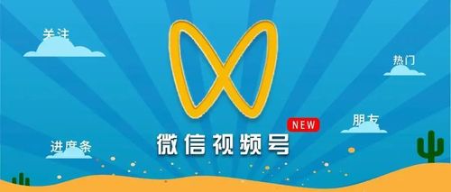 **揭秘视频号开播的神秘数字：粉丝数不再是难题！**