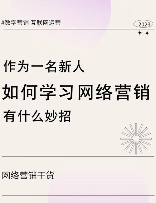 从零起步成为网红达人:小红书买粉丝平台的实战指南