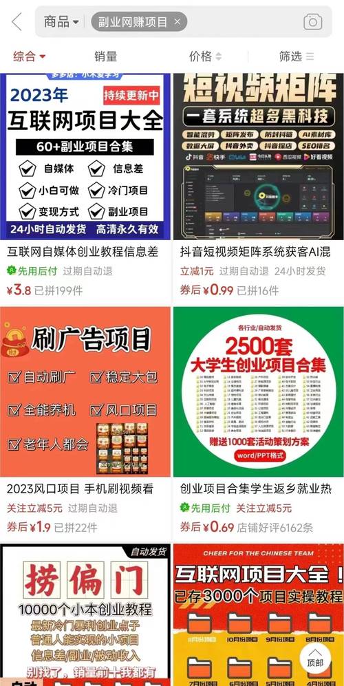 **B站粉丝增长新策略：粉丝购买平台助力UP主快速拓展影响力**