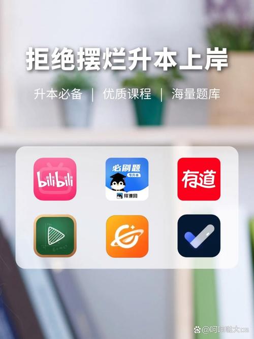**标题：哔哩哔哩刷播放量神器，助力UP主梦想腾飞！**