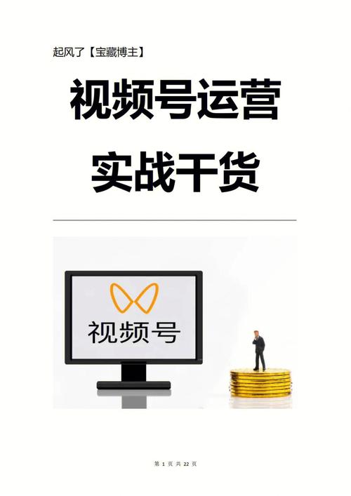 **标题:精准定位,轻松吸引目标粉丝——视频号运营秘籍**