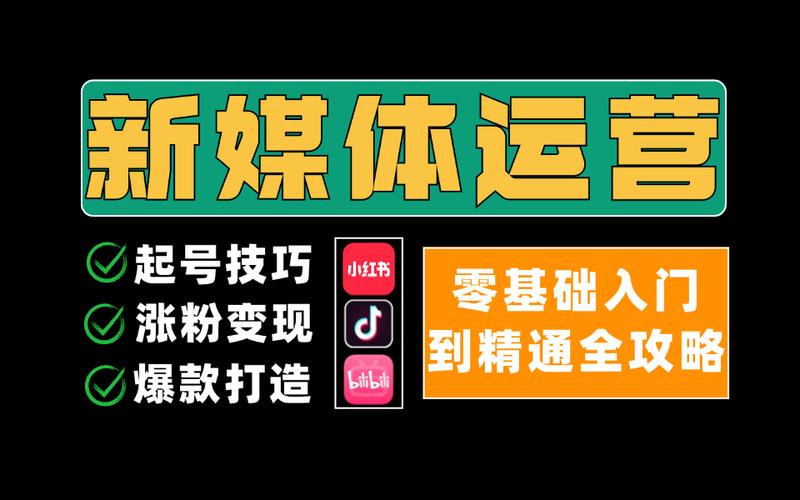 抖音涨粉新选择，网站平台下单打造个性化涨粉方案