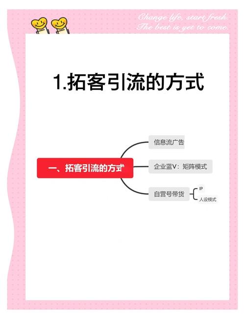 **揭秘小红书粉丝网站背后的运营秘籍：打造社交电商新势力的秘诀**