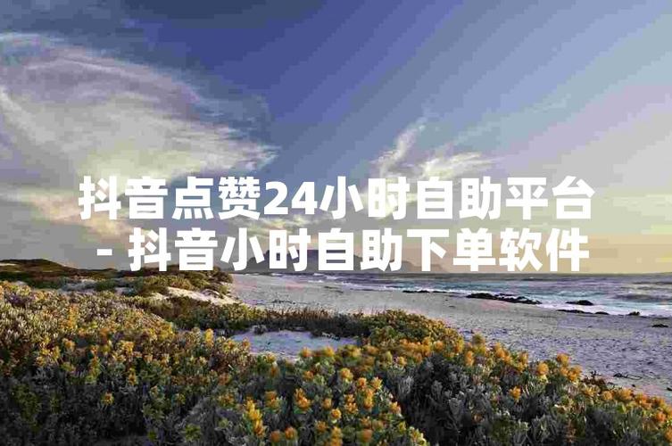 抖音粉丝自助下单,打造个人魅力新形象