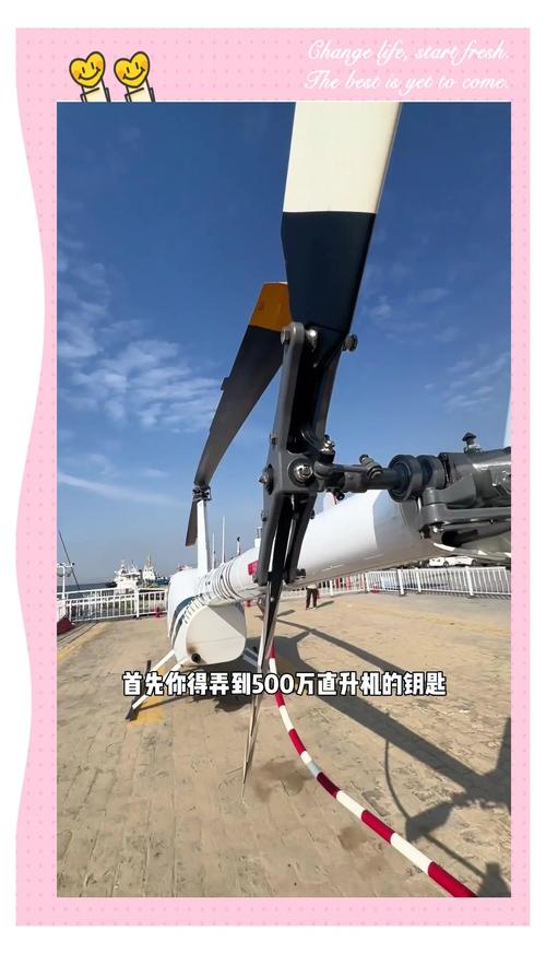 打造网红之路:利用微博涨粉直升机助力你的影响力飞跃。