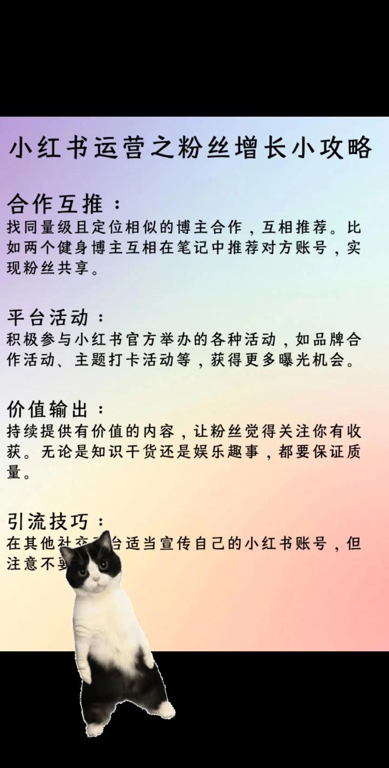**小红书粉丝购买平台指南：打造个人魅力，吸引无数粉丝**