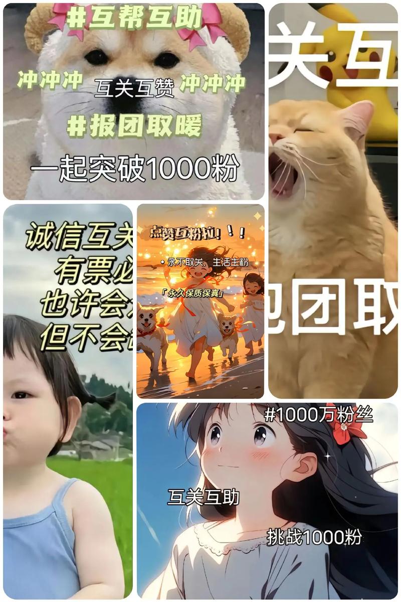 **揭秘抖音粉丝经济：千粉价值的深度剖析**