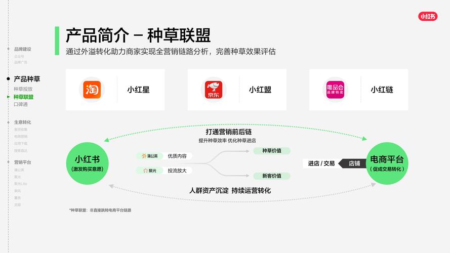 **“小红书粉丝网站:内容创作者变现新捷径”**