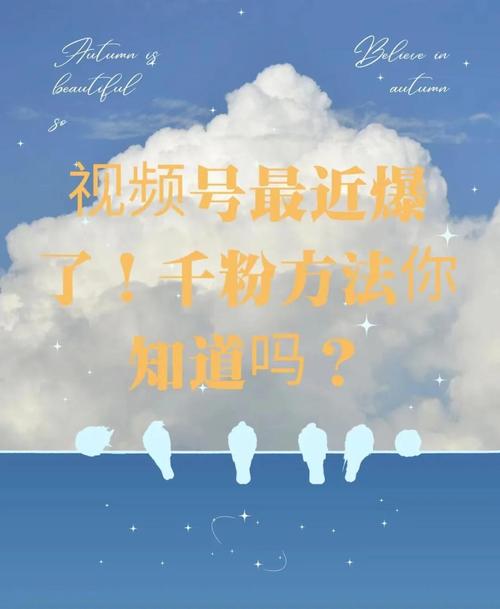 **标题：揭秘：小红书粉丝飙升的秘诀，轻松变身网红大咖！**