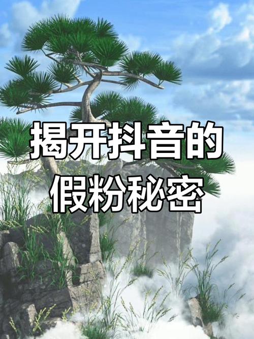 揭秘抖音成功背后的秘密：粉丝自助下单平台的魔力！