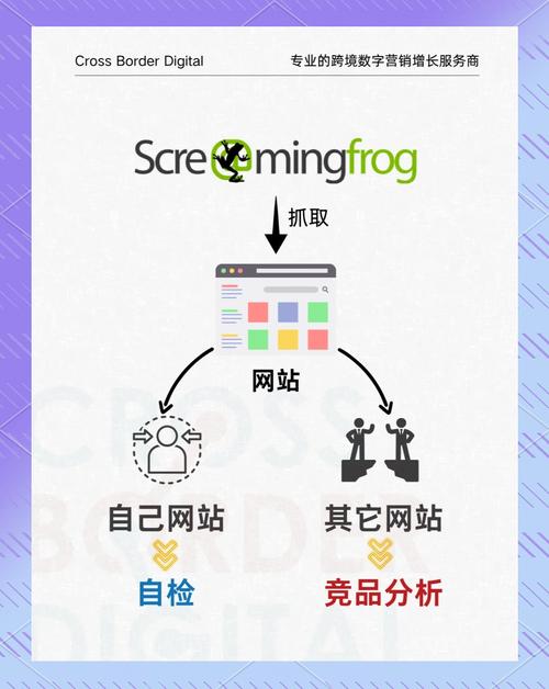 独家爆料：快手在线刷粉丝网站的秘密武器全解析
