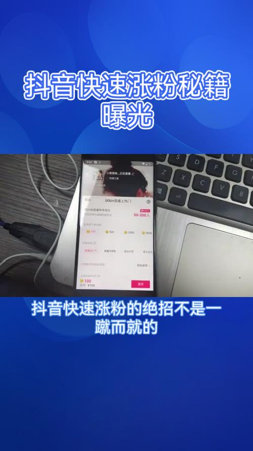 **标题:揭秘抖音自助涨粉平台:打造粉丝飙升的秘密武器!**