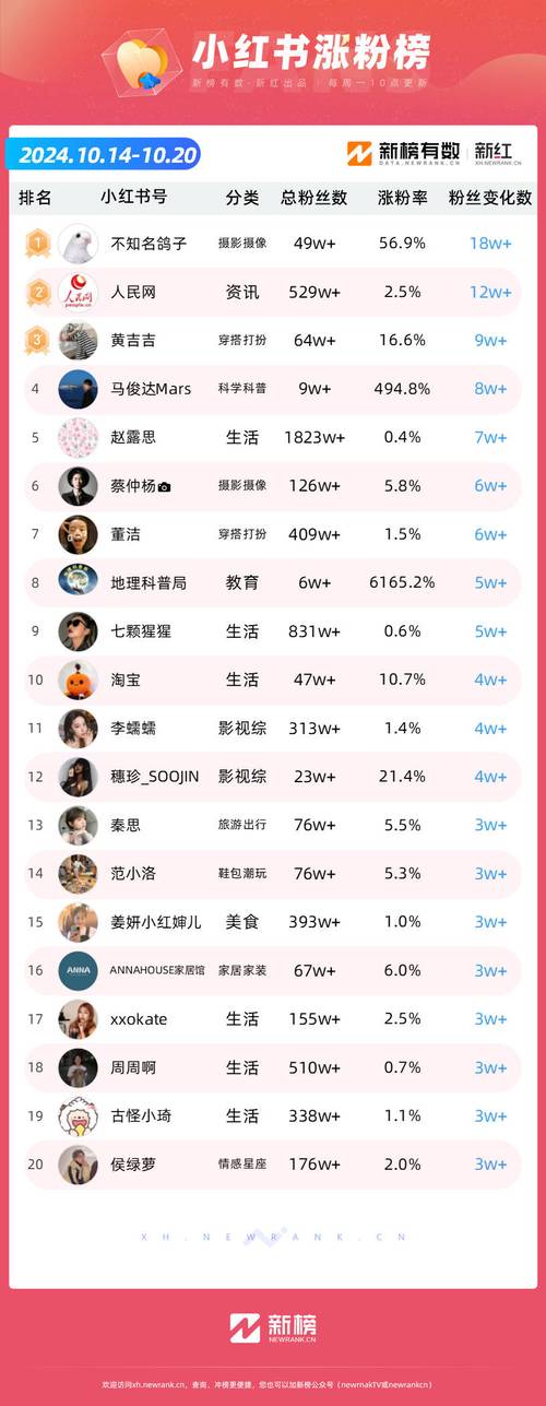 **小红书粉丝增长秘籍：从0到10万的蜕变之旅**