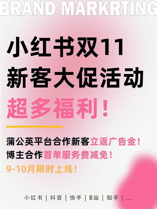 **小红书营销新捷径：深度挖掘粉丝购买平台的力量**