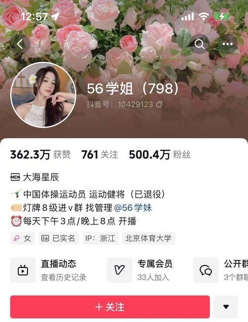 **标题:抖音账号人气飙升秘籍:自助平台助你成为抖音新星**