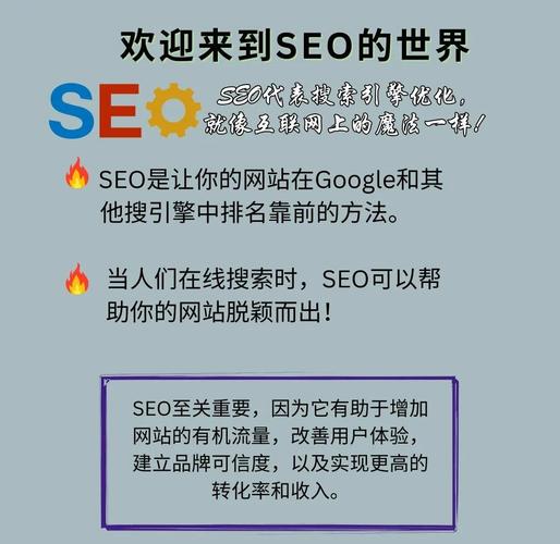 想要快速增加网站流量？试试哔哩代刷网！